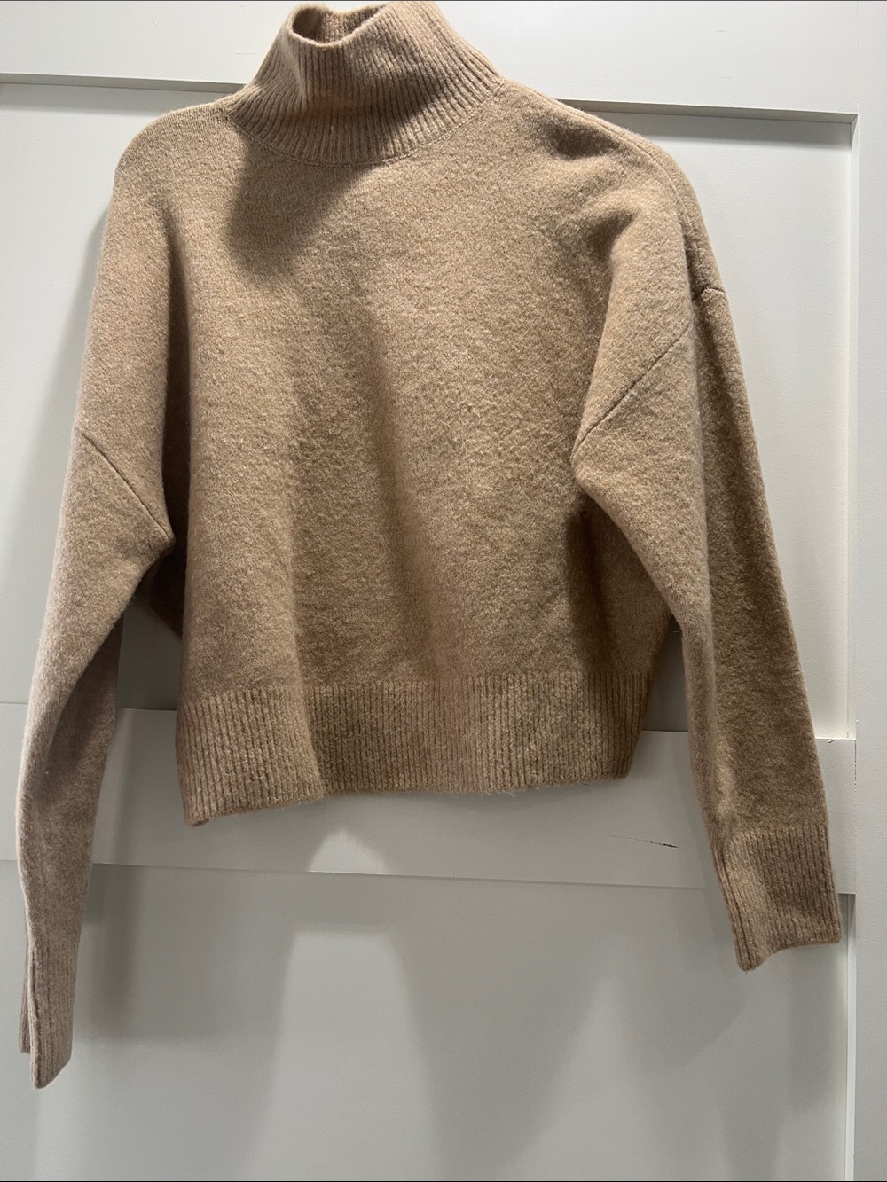 Zara Turtleneck Sweater in Beige